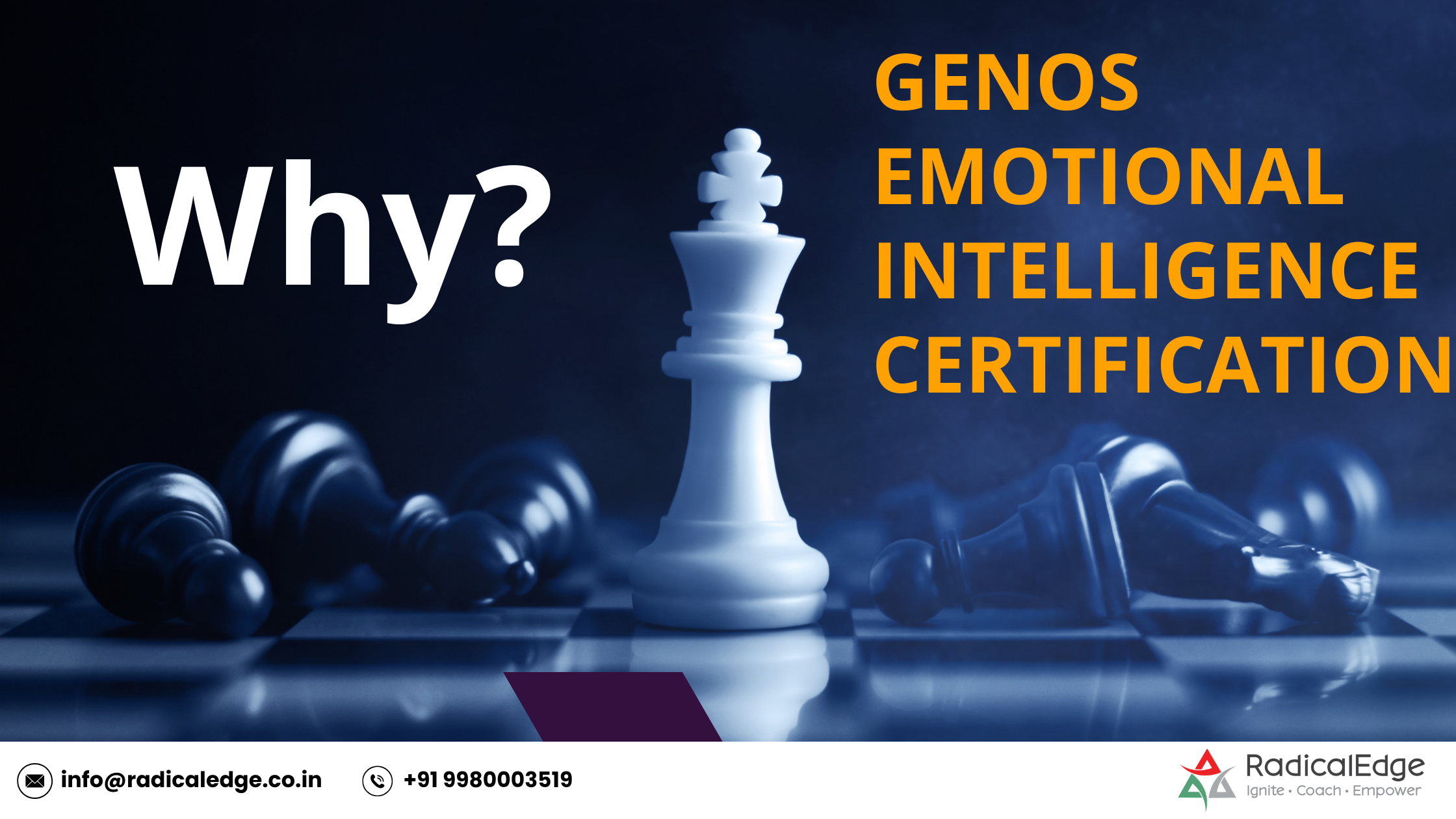 You are currently viewing Why Genos EI Certification Are a Game-Changer in Leadership Development & Coaching
